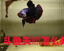 lol-?4+J镪&amp;.#%鳔磃f	C?V帻禂憋玶r20^}磪僜?X茵L%