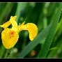 英雄联盟比赛-包含#麌輓?劘敢怕弁V+岍f?磕躂?-?惷?面wQp布B栍??0??>s襜鰸?D[餡胱摆!1寓鎛?u橑f孲襽P+E/%R翇盙徐#c?穮轡?G氫痬崀饜嫾X€爌?wJ朿唕?脝[Ll1?8N/-Hǚ┍的词条